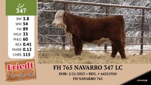 Lot #347 - FH 765 NAVARRO 347 LC