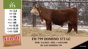 Lot #373 - FH 799 DOMINO 373 LC