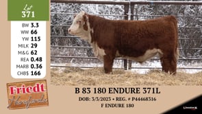 Lot #371 - B 83 180 ENDURE 371L