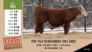 Lot #381 - FH 765 NAVARRO 381 HJD