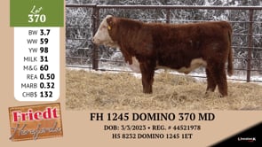 Lot #370 - FH 1245 DOMINO 370 MD