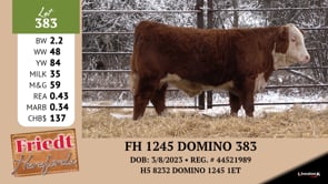 Lot #383 - *** OUT *** FH 1245 DOMINO 383