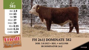 Lot #382 - FH 261J DOMINATE 382