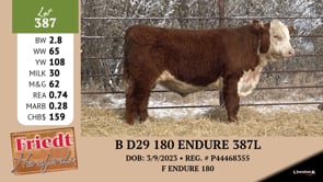 Lot #387 - B D29 180 ENDURE 387L