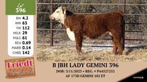 Lot #396 - B JBH LADY GEMINI 396