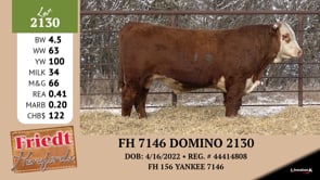 Lot #2130 - FH 7146 DOMINO 2130