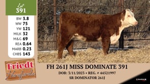 Lot #391 - FH 261J MISS DOMINATE 391