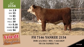 Lot #2154 - FH 7146 YANKEE 2154