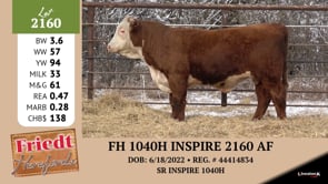 Lot #2160 - FH 1040H INSPIRE 2160 AF