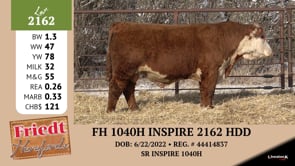 Lot #2162 - FH 1040H INSPIRE 2162 HDD