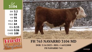 Lot #3104 - FH 765 NAVARRO 3104 MD