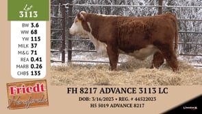 Lot #3113 - FH 8217 ADVANCE 3113 LC