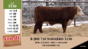 Lot #3150 - B JBH 710 NAVARRO 3150