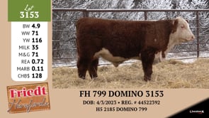 Lot #3153 - FH 799 DOMINO 3153