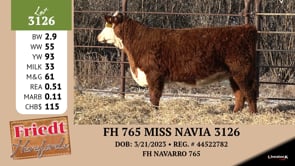 Lot #3126 - FH 765 MISS NAVIA 3126