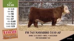 Lot #3110 - FH 765 NAVARRO 3110 AF