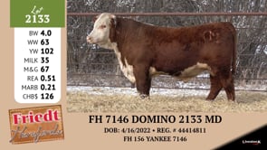 Lot #2133 - FH 7146 DOMINO 2133 MD