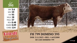 Lot #395 - FH 799 DOMINO 395