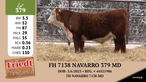 Lot #379 - FH 7138 NAVARRO 379 MD