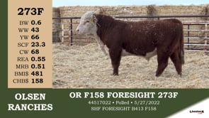 Lot #273F - OR F158 FORESIGHT 273F
