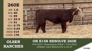 Lot #260E - OR E158 RESOLVE 260E