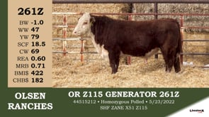 Lot #261Z - OR Z115 GENERATOR 261Z