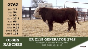 Lot #276Z - OR Z115 GENERATOR 276Z