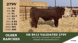 Lot #279V - OUT - OR B413 VALIDATED 279V