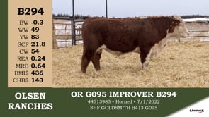 Lot #B294 - OR G095 IMPROVER B294