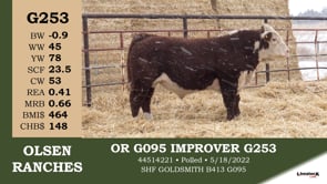 Lot #G253 - OR G095 IMPROVER G253