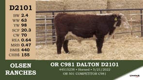 Lot #D2101 - OR C981 DALTON D2101