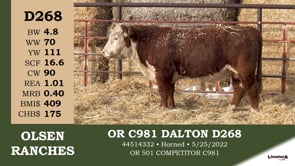 Lot #D268 - OR C981 DALTON D268