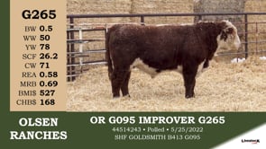 Lot #G265 - OR G095 IMPROVER G265