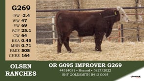 Lot #G269 - OR G095 IMPROVER G269