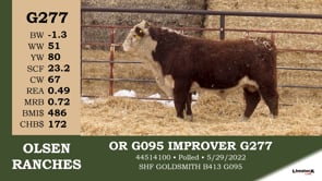 Lot #G277 - OR G095 IMPROVER G277