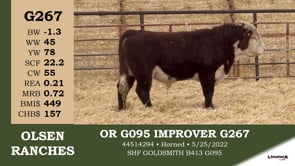 Lot #G267 - OR G095 IMPROVER G267