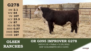 Lot #G278 - OR G095 IMPROVER G278