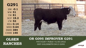 Lot #G291 - OR G095 IMPROVER G291