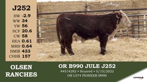 Lot #J252 - OR B990 JULE J252