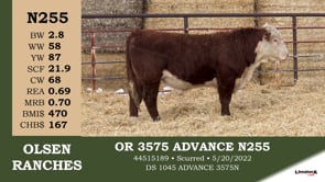 Lot #N255 - OR 3575 ADVANCE N255