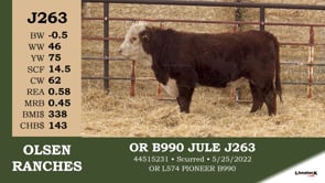 Lot #J263 - OR B990 JULE J263