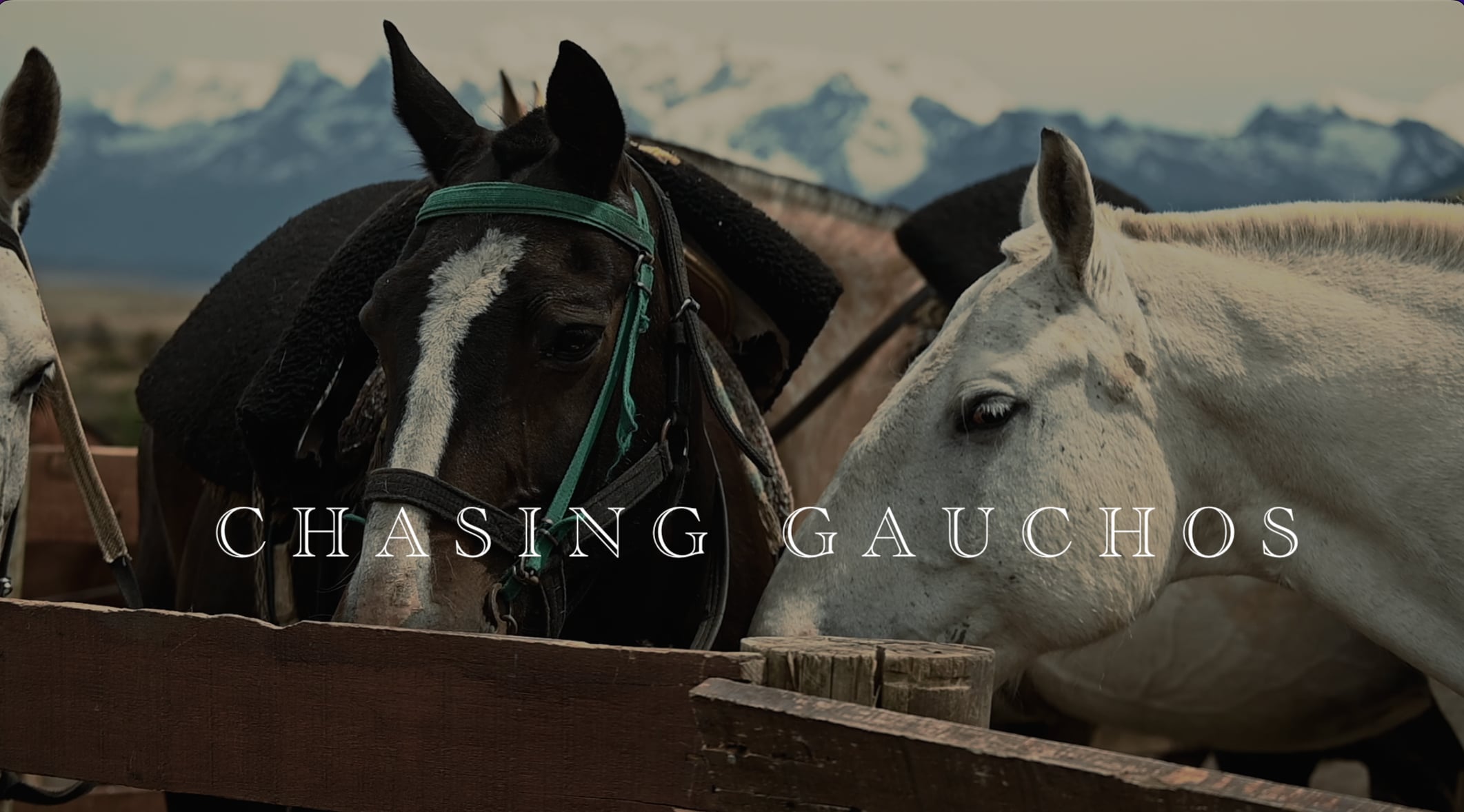 Chasing Gauchos