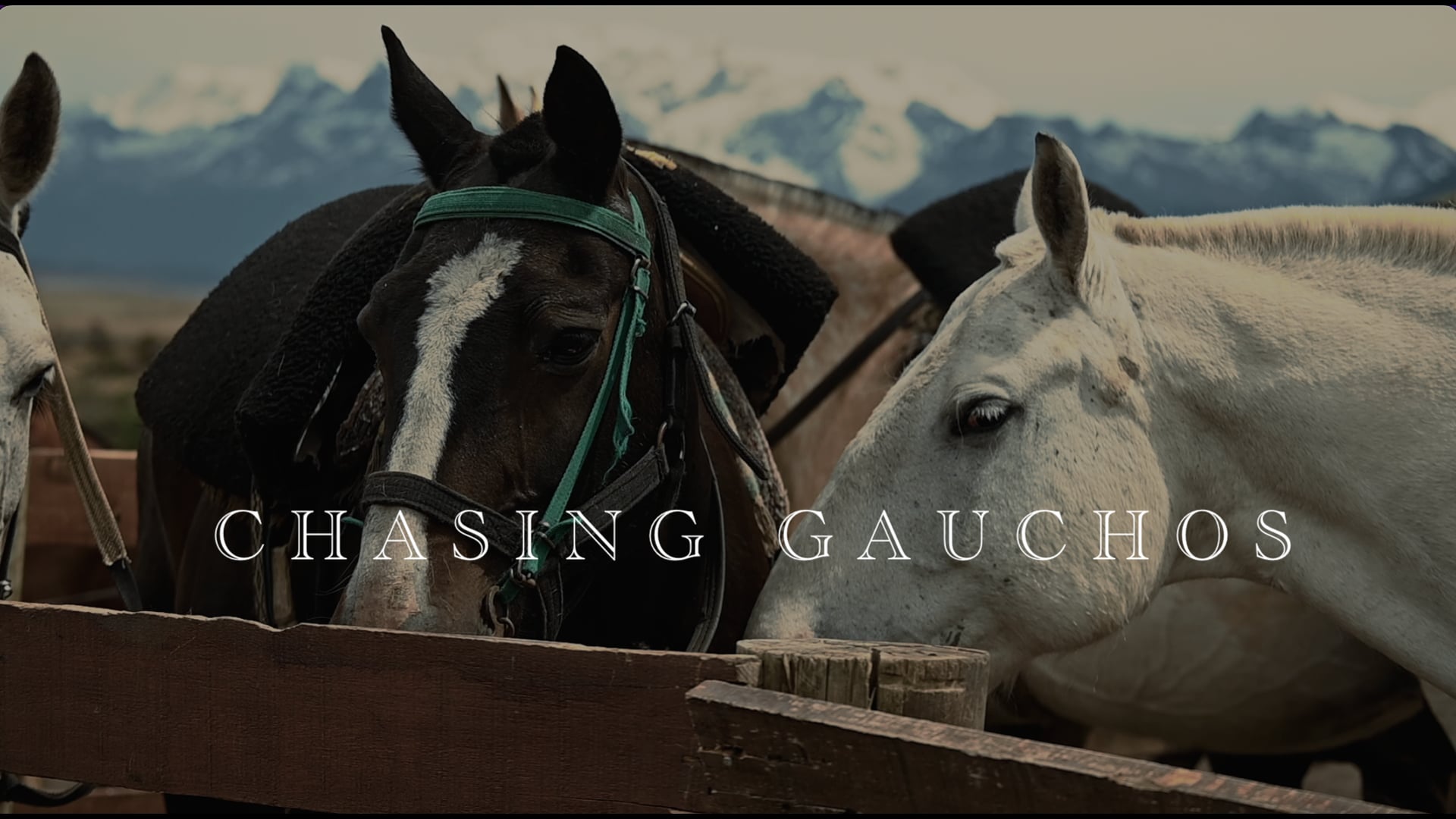 Chasing Gauchos