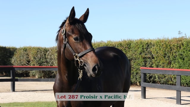 Lot 287