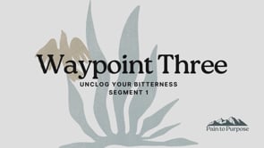 Waypoint 3_Pre-Work Segment 1