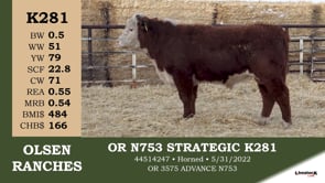 Lot #K281 - OR N753 STRATEGIC K281