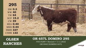 Lot #295 - OR 657L DOMINO 295