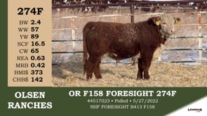 Lot #274F - OR F158 FORESIGHT 274F