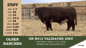 Lot #256V - OR B413 VALIDATED 256V