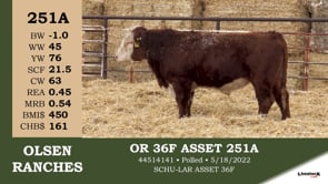Lot #251A - OR 36F ASSET 251A